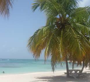 Isla Saona