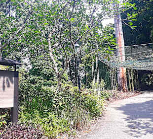 Botanischer Garten