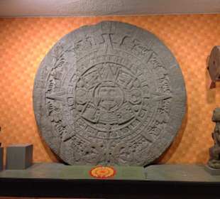 Museum of Natural History