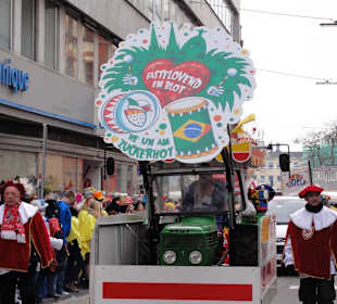 Rosenmontagszug 2013