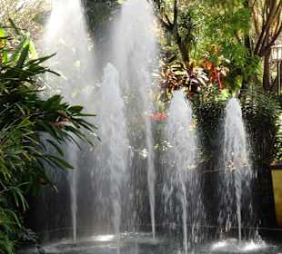 Impressionen aus dem Stadtpark von Funchal