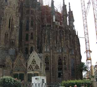 Sagrada de Familia