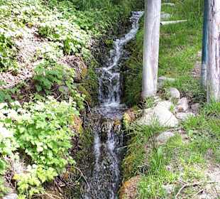 Wandern Dellach