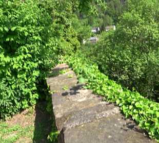 Schlossruine Wildberg