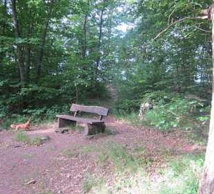 Bei der Burgruine Spesburg