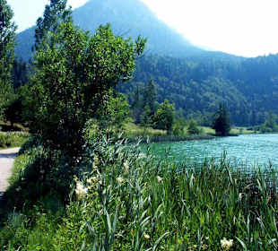 Thiersee