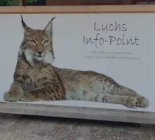 Luchs Info-Point