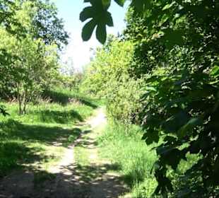 Naturschutzgebiet Taubenäcker