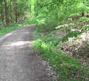 Naturpark Schönbuch