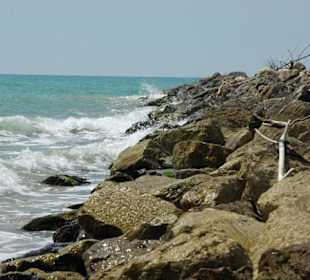 Strand von Bibione 06-2010