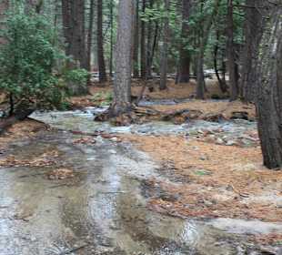 Yosemite Nationalpark