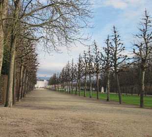 Schlosspark Schwetzingen im Winter