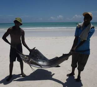 Frischer Nachschub fürs Restaurant