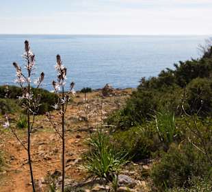 Punta de n’Amer