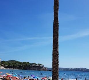 Strand Paguera/Peguera