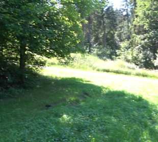 Burg Hölnstein Stetten u. Holstein