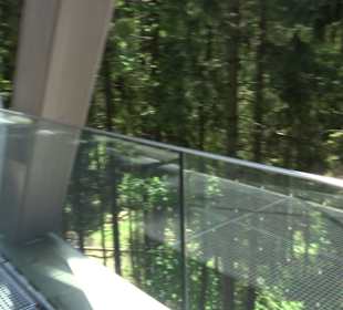 Naturparkzentrum Ruhestein