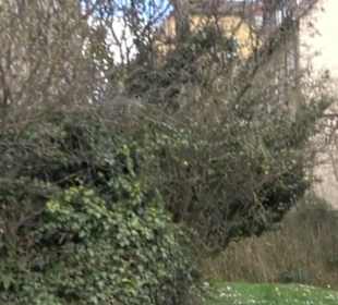 Blockturm