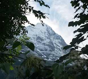Nordwand von Grindelwald aus gesehen
