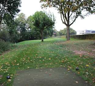 Ein Baum steht im Weg