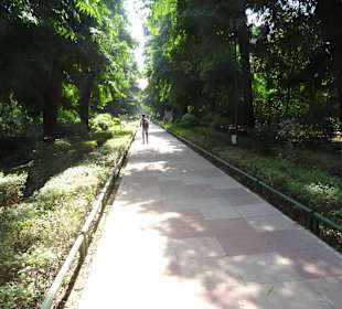 Im Lodi Garden unterwegs