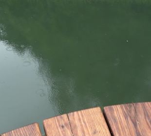 Fischlehrpfad Neu-Ulm