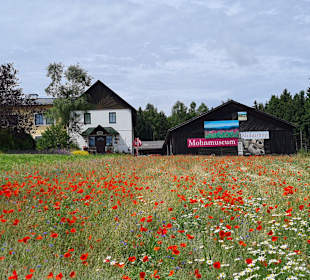 Wandern Geras