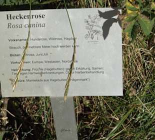 Klosterkirche Maria Gnadenzell
