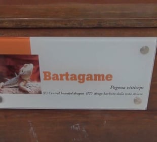 Südamerikabereich - Vogelhaus