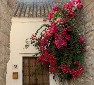 Stadtrundgang Novo Sancti Petri