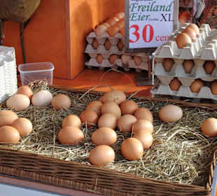 Rundgang über den Wochenmarkt Pferdemarkt