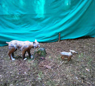 Neues im Kletterwald 09-2012