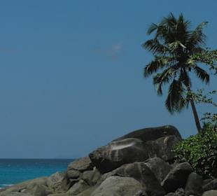 Wanderung zur Anse Major, Mahé, Seychellen