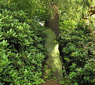 Кладбище Ольсдорф, Гамбург, 16 сентября 2013 года