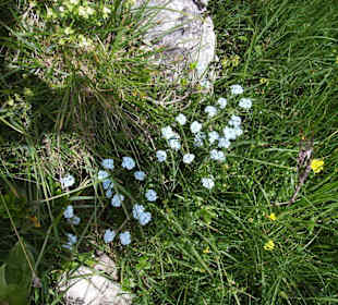 Mindelheimer Klettersteig