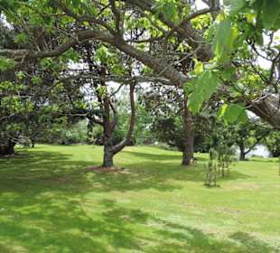 Im Western Springs Park