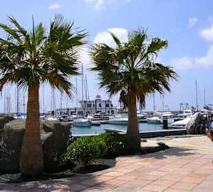 Hafen Marina Rubicon