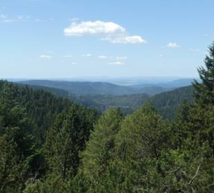 Ausblick vom Rennsteiggarten