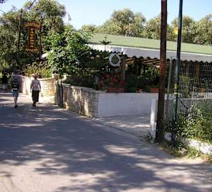 Ambiente Top-Essen/Service Flop