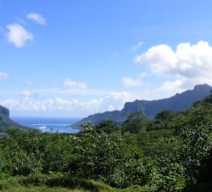 MS Albatros vor Moorea