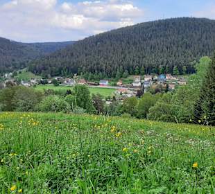 Wandern Enzklösterle
