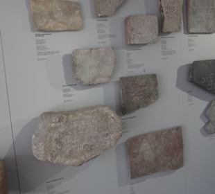 Rheinisches Landesmuseum