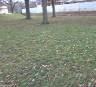Calisthenics Anlage Nürtingen