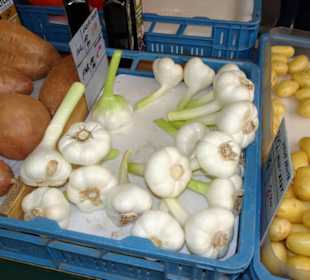 Impressionen vom Salzburger Grünmarkt
