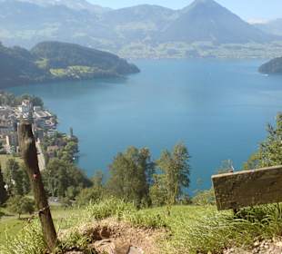 Wanderweg Vitznau- Rigi