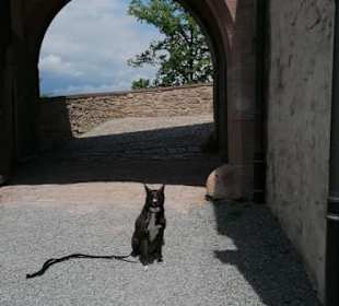 Tor Schloß Staufenburg