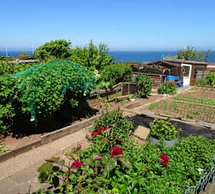 Rundgang durch die Schrebergarten-Kolonie