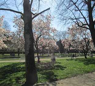 Kurfürstliches Palais