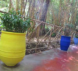 Jardin Majorelle