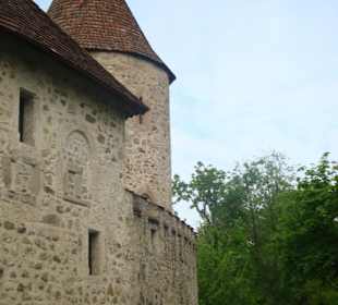 Wasserschloss Hallwil von Aussen